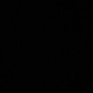 Meet your Posher, Tyson